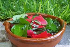 Bundle of herbs soaking in a bowl